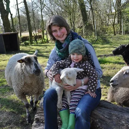 Hof Herzleuchten, Familie Groth Apartment