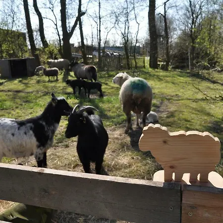 Hof Herzleuchten, Familie Groth *