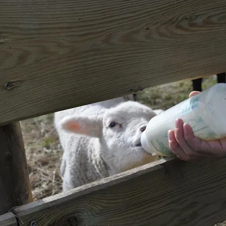 Apartment Hof Herzleuchten, Familie Groth