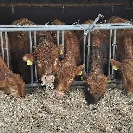 Hof Herzleuchten, Familie Groth Apartment